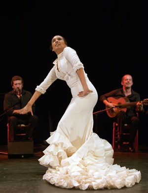 Affiche de Encuentro Flamenco