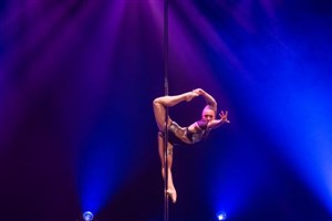 Affiche de Championnat interrégional de pole dance Nord Est