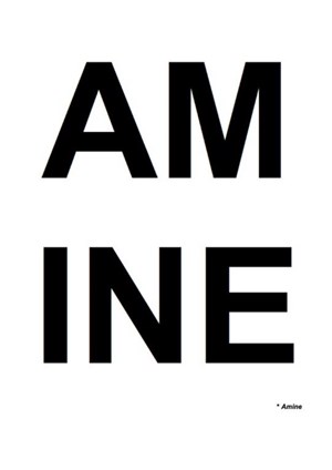 Affiche de Amine Amin Imean