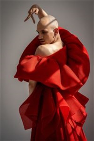 Affiche de Haute Couture