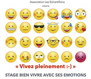 Affiche de Bien vivre avec ses émotions