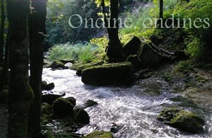 Affiche de Ondine, Ondines