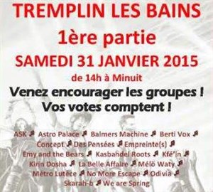 Affiche de Tremplin les bains 2015