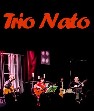Affiche de Trio Nato - Live