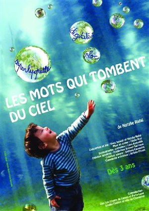 Affiche de Les mots qui tombent du ciel
