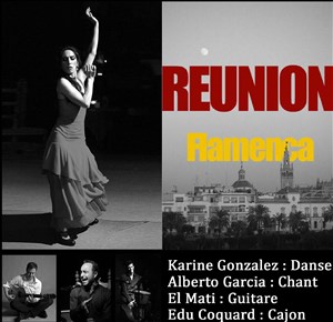 Affiche de Réunion Flamenca