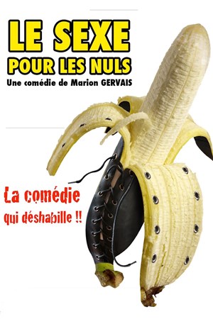 Affiche de Le sexe pour les nuls