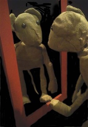 Affiche de Les contes de la souris verte : Reflet et ribambelle