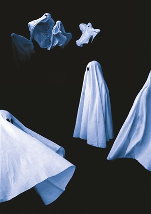 Affiche de Pillowgraphies