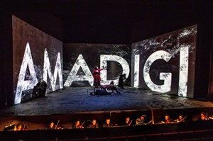 Affiche de Amadigi