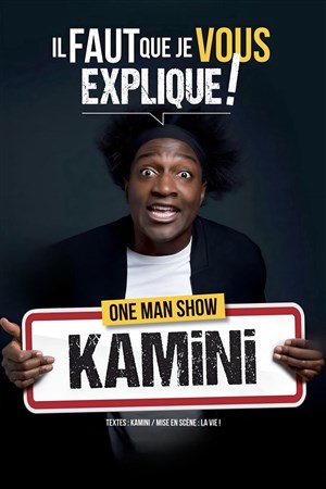 Affiche de Kamini dans lI faut que je vous explique !