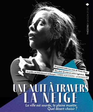 Affiche de Une nuit à travers la neige