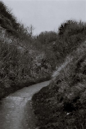 Affiche de Nu gît le coeur dans l'obscurité