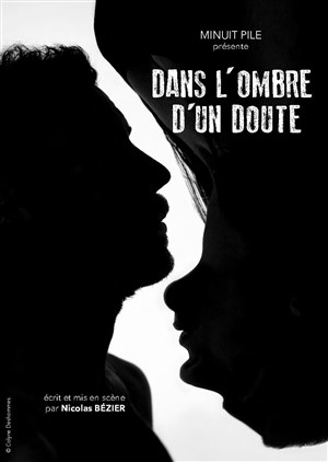 Affiche de Dans l'ombre d'un doute