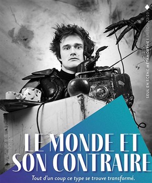 Affiche de Le monde et son contraire