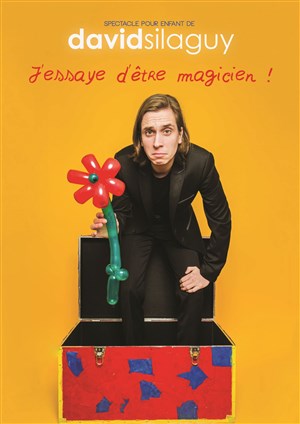 Affiche de J'essaye d'être magicien