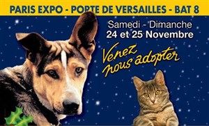 Affiche de Noël des animaux -Fondation Assistance aux Animaux