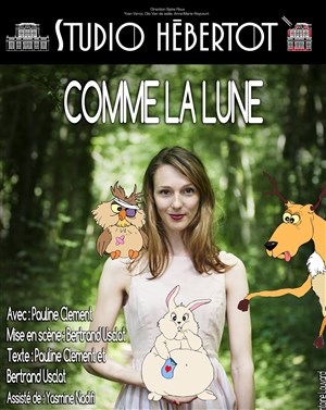 Affiche de Comme la lune
