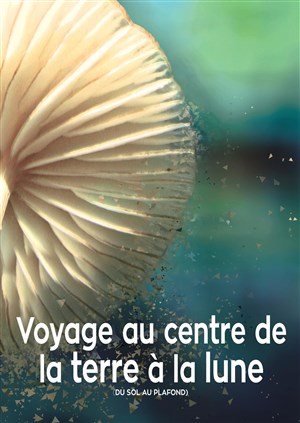 Affiche de Voyage au centre de la Terre à la Lune