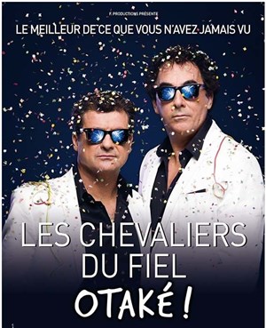 Affiche de Les chevaliers du fiel dans Otaké !