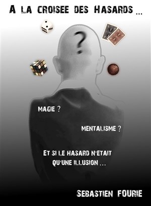 Affiche de Sébastien Fourie dans A la croisée des hasards