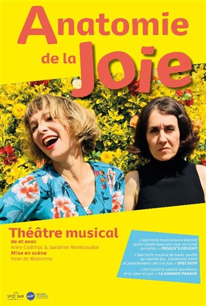 Affiche de Anatomie de la Joie