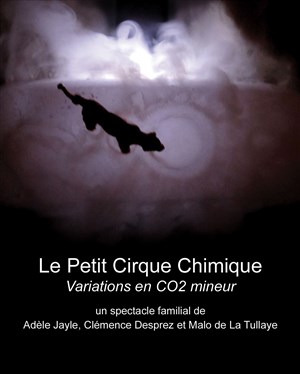 Affiche de Le petit cirque chimique