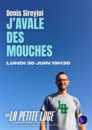 Affiche de Denis Sireyjol dans J'avale des mouches