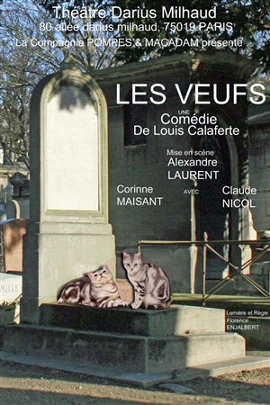 Affiche de Les veufs