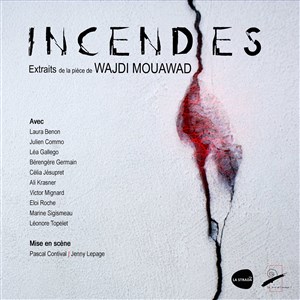 Affiche de Incendies (Extraits)
