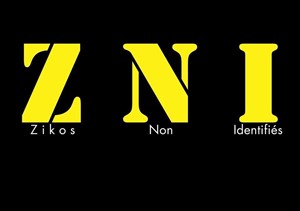 Affiche de Z.N.I Zicos non identifiés