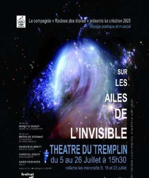 Affiche de Sur les ailes de l'invisible
