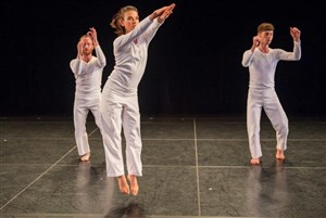 Affiche de Trisha Brown | Solo Olos / Son of Gone Fishin' / Rogues / Present Tense
