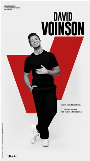 Affiche de David Voinson
