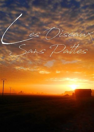 Affiche de Les oiseaux sans pattes