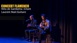 Affiche de Concert Flamenco : Niño de Gambetta