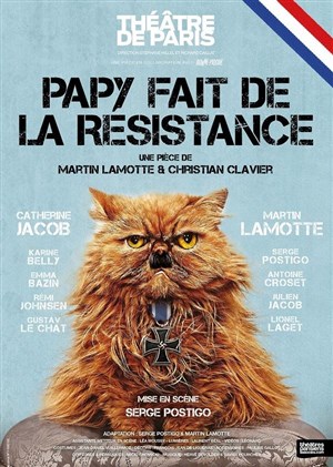 Affiche de Papy fait de la résistance | avec Catherine Jacob et Martin Lamotte