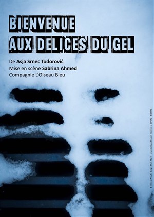 Affiche de Bienvenue aux Délices du Gel