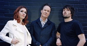 Affiche de Cock Robin