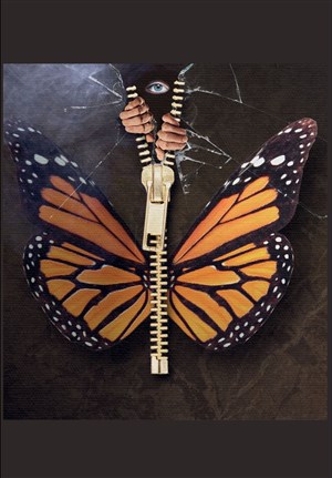 Affiche de Le cri du papillon