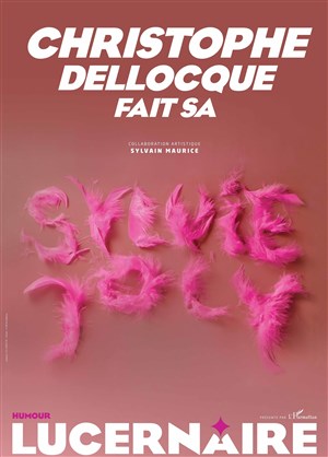 Affiche de Christophe Dellocque fait sa Sylvie Joly