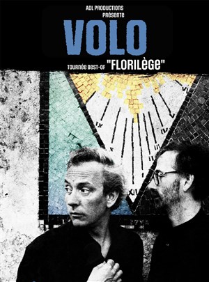 Affiche de Volo
