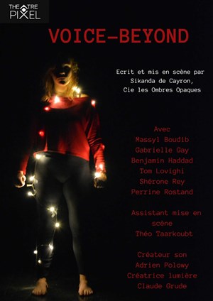 Affiche de Voice Beyond