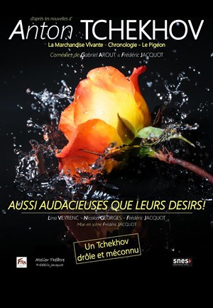 Affiche de Aussi audacieuses que leurs désirs !