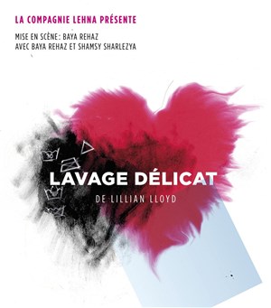 Affiche de Lavage délicat