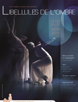Affiche de Libellules de l'ombre