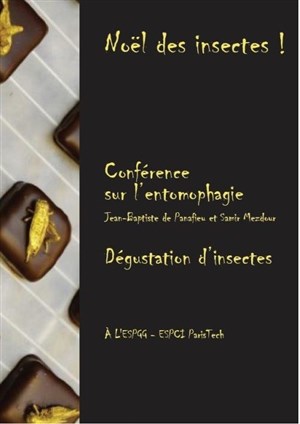 Affiche de Le Noël des insectes