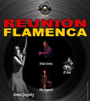 Affiche de Reunion Flamenca