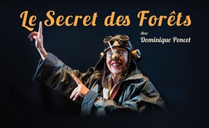 Affiche de Le secret des forêts