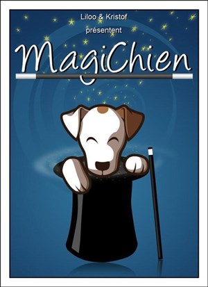 Affiche de Magichien